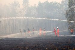 Indonesia and Singapore agree to strengthen cooperation on regional haze