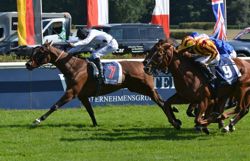 Horse racing-Ex-balloon worker buoyed up for Tiffany's Breeders' Cup swansong