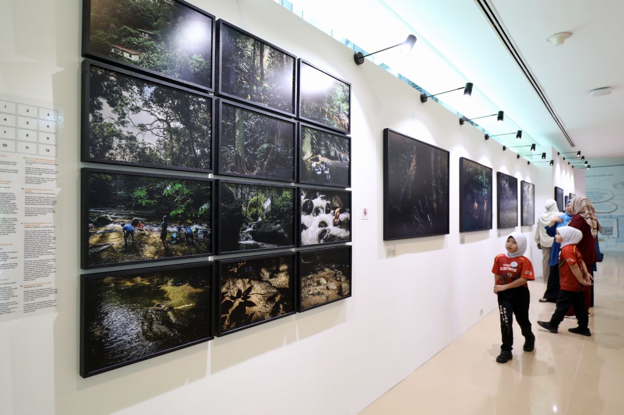 A view of the 'The Line: Beyond The Forest’s Edge' exhibition at Bank Negara Malaysia Museum and Art Gallery in KL. Photo: The Star/Leong Wai Yee