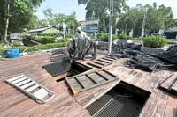 ‘Dumping of tilapia, turtles into Prangin Canal overwhelms filtration system of koi attraction’