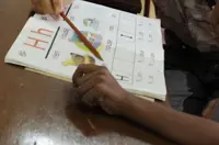 3M literacy progress hits plateau