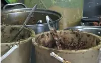QuickCheck: Was a Kulim food outlet shut down over poor hygiene?