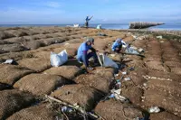 Philippine island fights rising seas with nature, not concrete