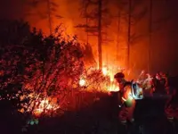 Japan to support restoration of strictly protected area in Mongolia after wildfires
