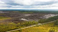 Finland launches criminal probe of suspected environmental damage at Google data centre site