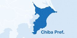 Magnitude 5.5 earthquake strikes Japan’s Chiba Prefecture