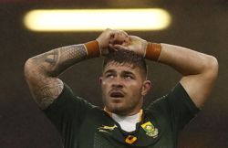 Rugby-World player of the year Marx to leave Japan and return to South Africa
