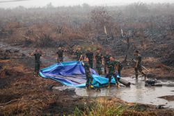 No resting on fleeting rain in Indonesia: Comment